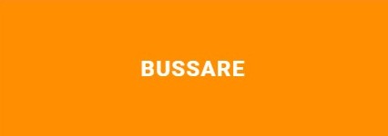 BUSSARE  