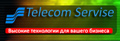 Telecom Service