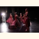 Ballet St.Polten   () 